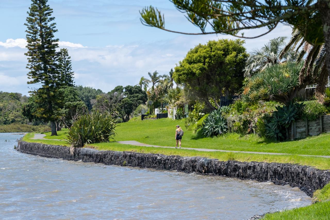 Outdoor movement session along Auckland waterfront pathway